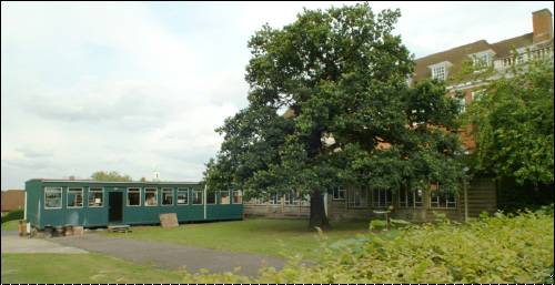 Institute a